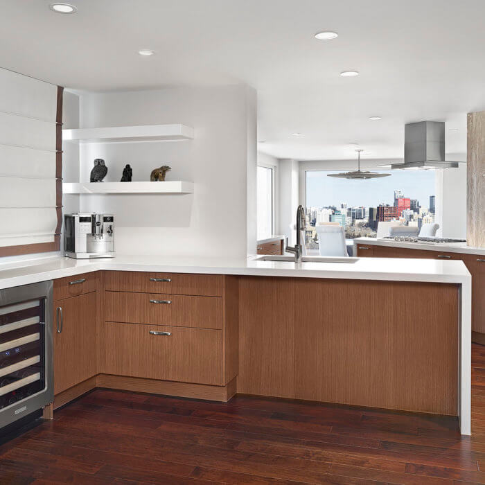 Private Residence Project Kitchen Luxury Condo Interior Design